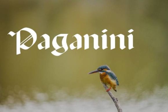 Paganini: A Bold Blackletter Font for Unforgettable Designs